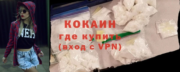 соль ск Абаза