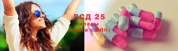 индика Киреевск