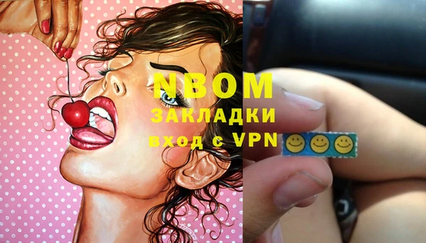 мдпв Михайлов