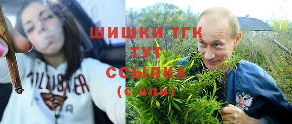 стаф Абинск