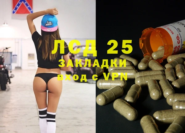 стаф Абинск
