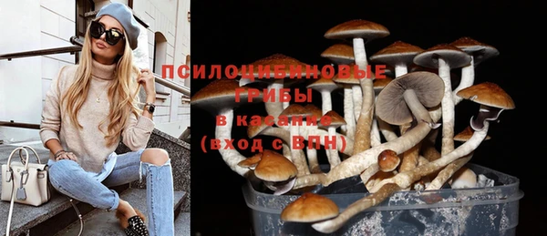 стаф Абинск