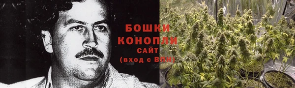соль ск Абаза